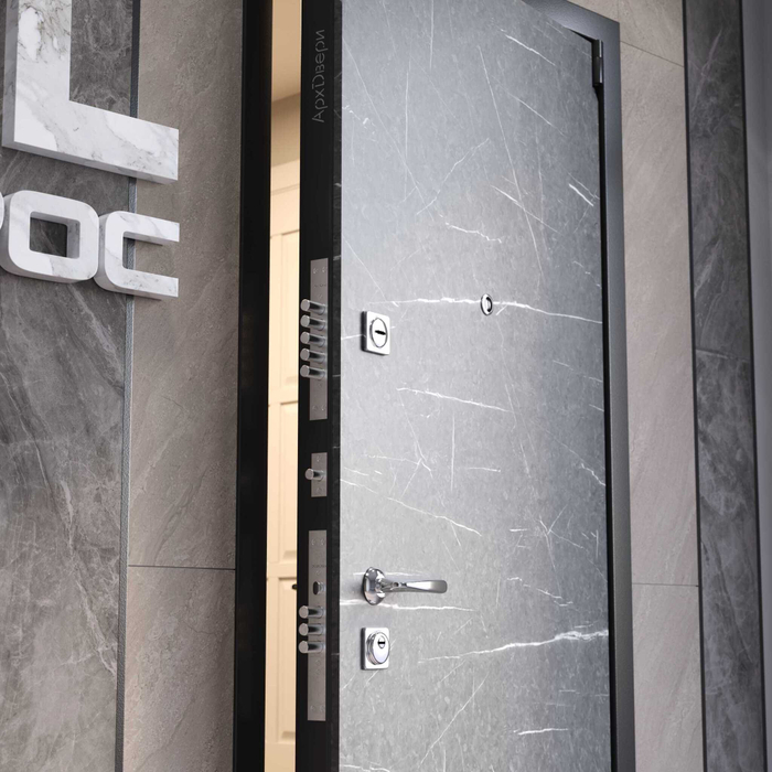 Входная дверь XL торос