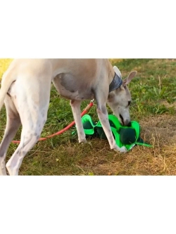 Нюхательный коврик для собак и лакомств