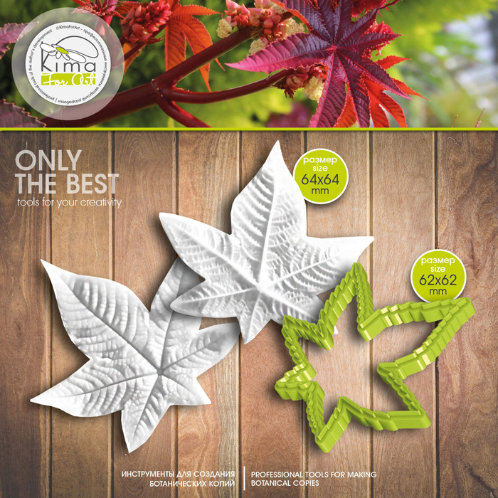 Клещевина лист средний