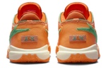 Кроссовки Famu X Apb X Nike Lebron 20 "Orange" 20