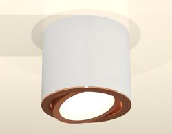 Ambrella Комплект накладного поворотного светильника Techno XS7401005
