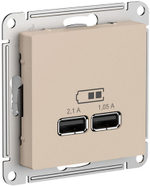 Розетка USB  Systeme Electric ATN001233
