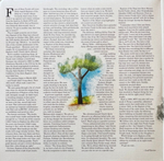 Deep Purple / Rapture Of The Deep (20th Anniversary Edition)(3LP)