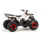 Квадроцикл Motoland VOX125 WILD белый