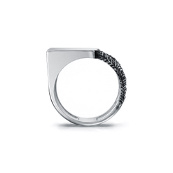 01182-10-092001-00 Кольцо