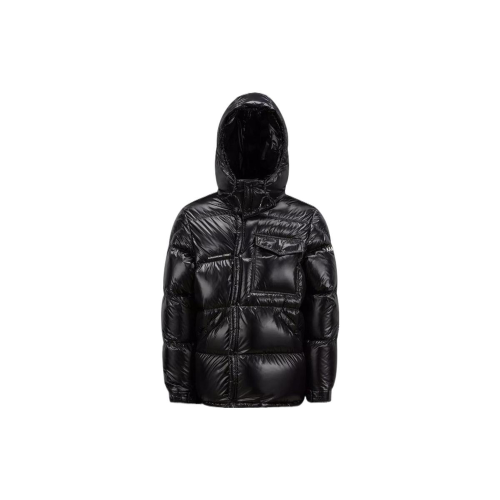 Куртки MONCLER GENIUS x FRGMT FW22 Anthemium, H209U1A00010M2149999