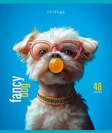 Тетрадь А5 48л кл. ПЗБМ "Модные зверушки" мат.лам., выб.УФ-лак, конгрев