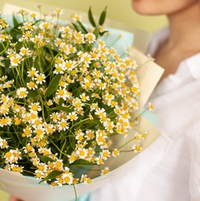 Flower bouquet with daisies