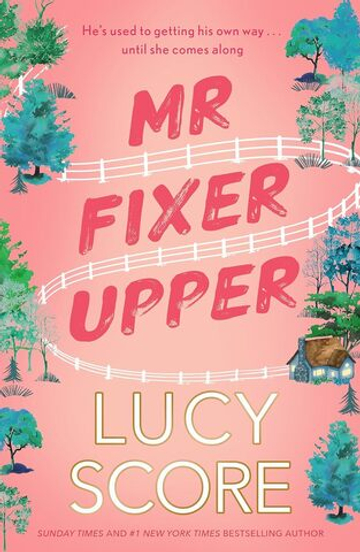 Mr Fixer Upper (Lucy Score)