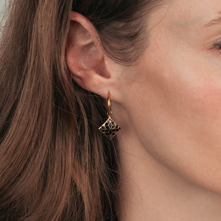 Серьги Fiore Luna AE03209-4 G