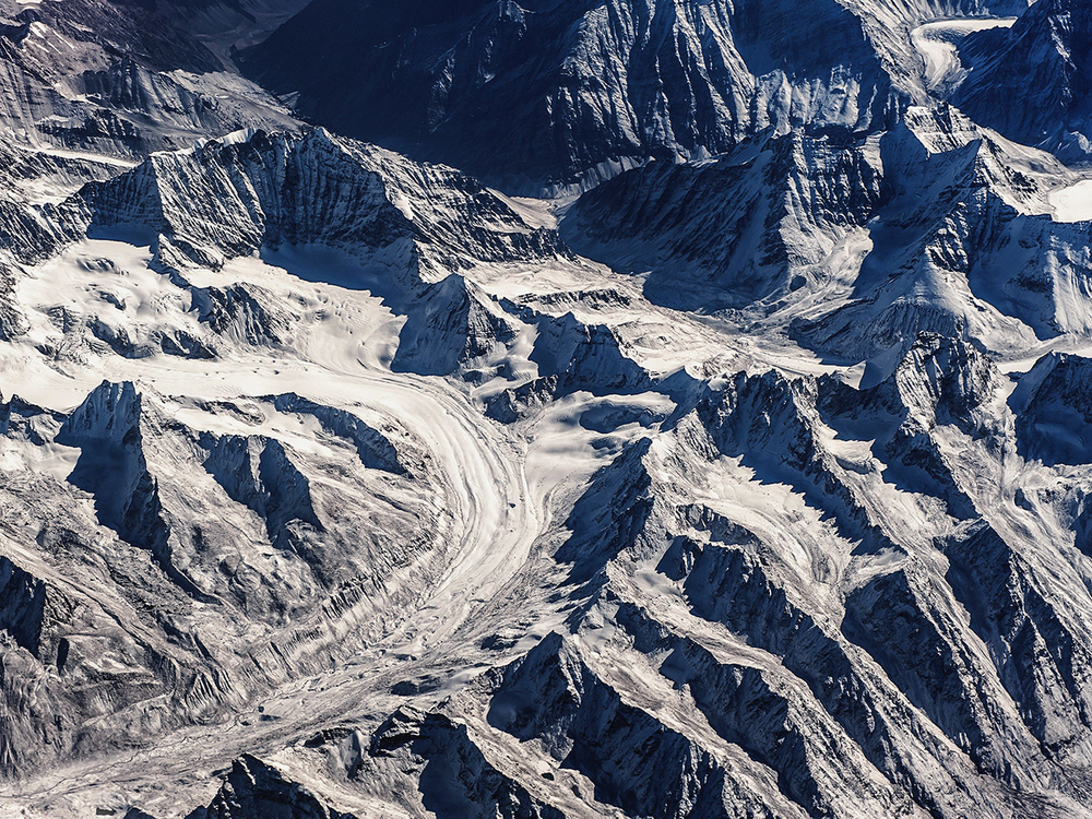 Дизайнерские обои Wall Street Bird see