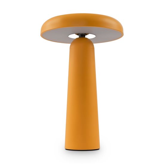 Аккумуляторный светильник Freya FR6109TL-L4OR