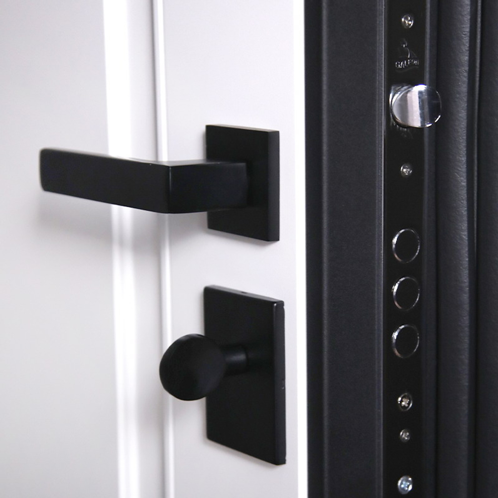 Стальная дверь "Амстердам". Заказная модель.