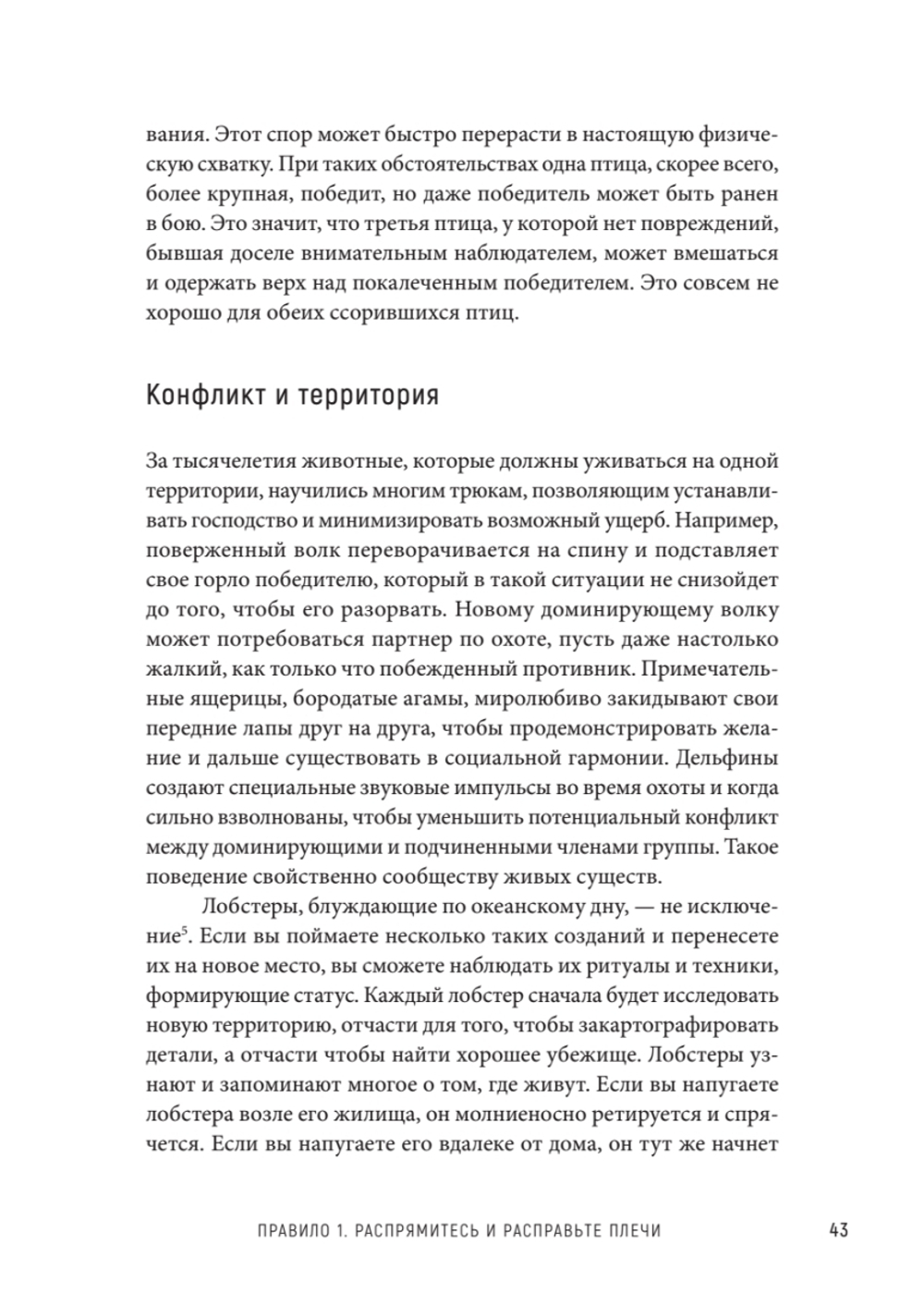 12 правил жизни: противоядие от хаоса