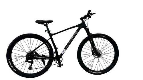 Велосипед 29" FASTMOTION 420 р.19" черный