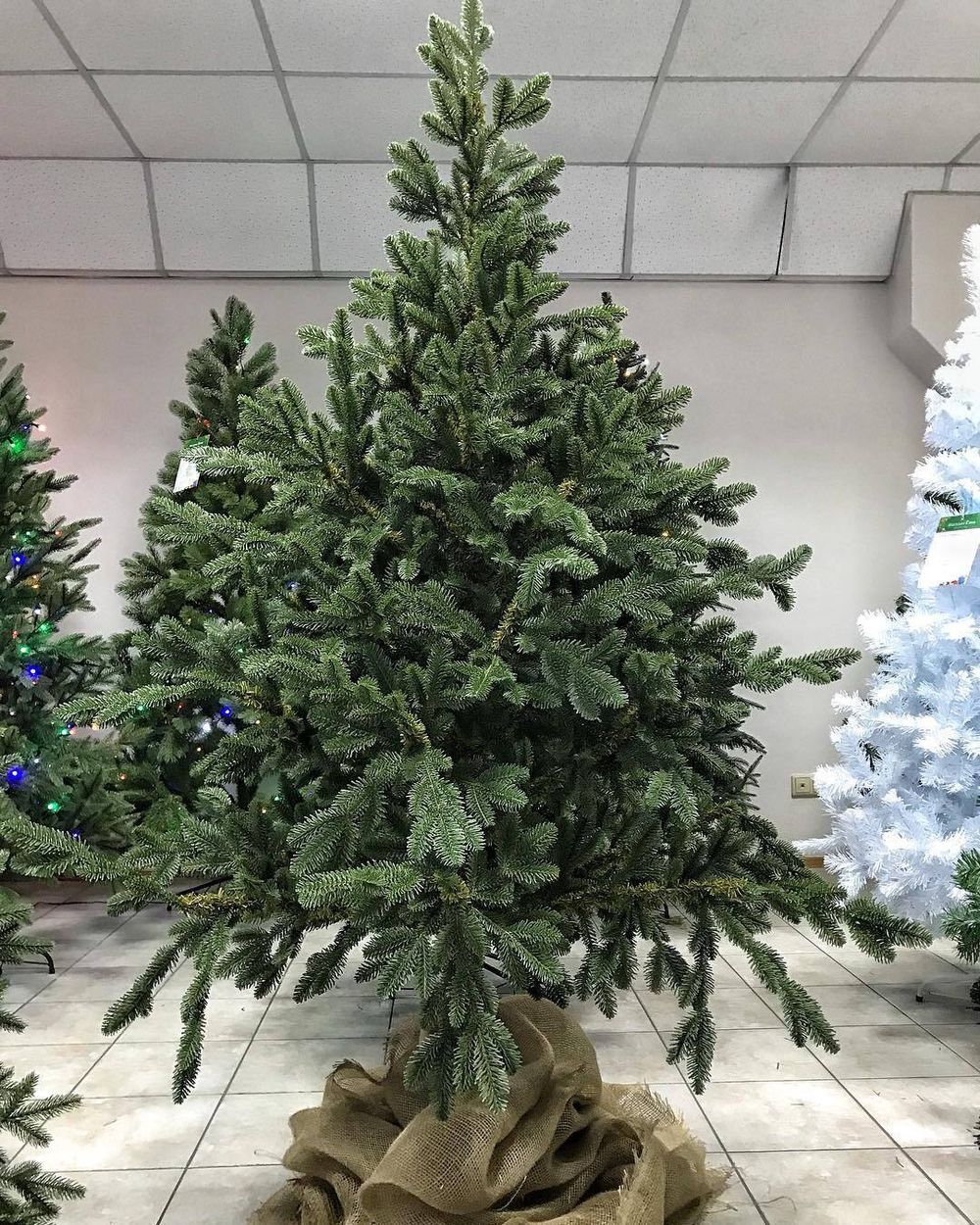 Искусственная ель на ножке «Датская» (хвоя литая) 180 см / 1,8 м