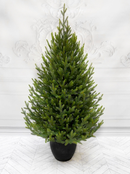 Ель TreeDeLuxe Южная премиум 100% литая 120см в кашпо зеленая