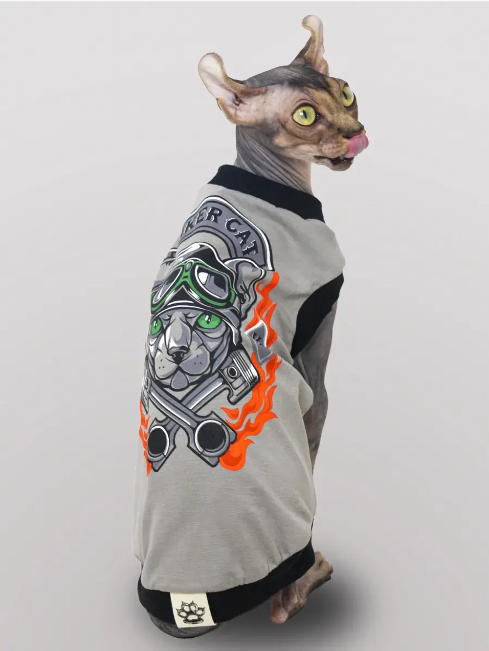 Одежда для кошек сфинкс