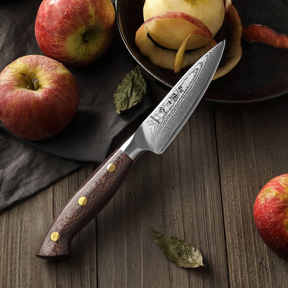 Кухонный нож Hezhen X02M Paring нож 4 дюйма клинок 67 Layers Damascus рукоять микарта, длина лезвия 11 см