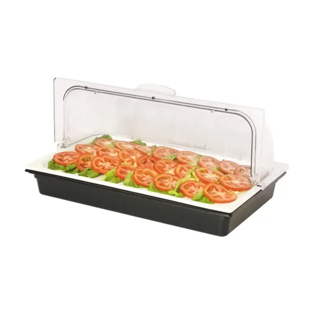 Поднос для выкладки 53*32,5*24,5 см фарфор с пласт. Roll-top крышкой + 2 емкости с хладогеном SUNNEX