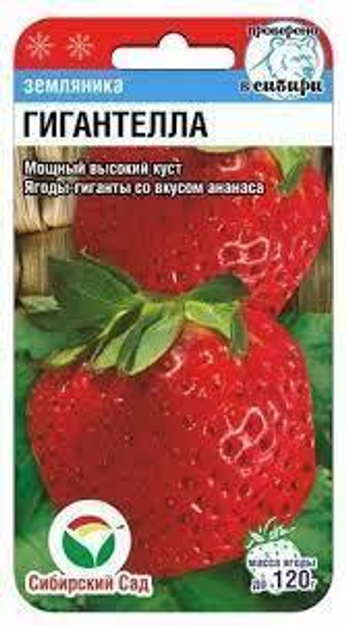 Земляника Гигантелла (семена)