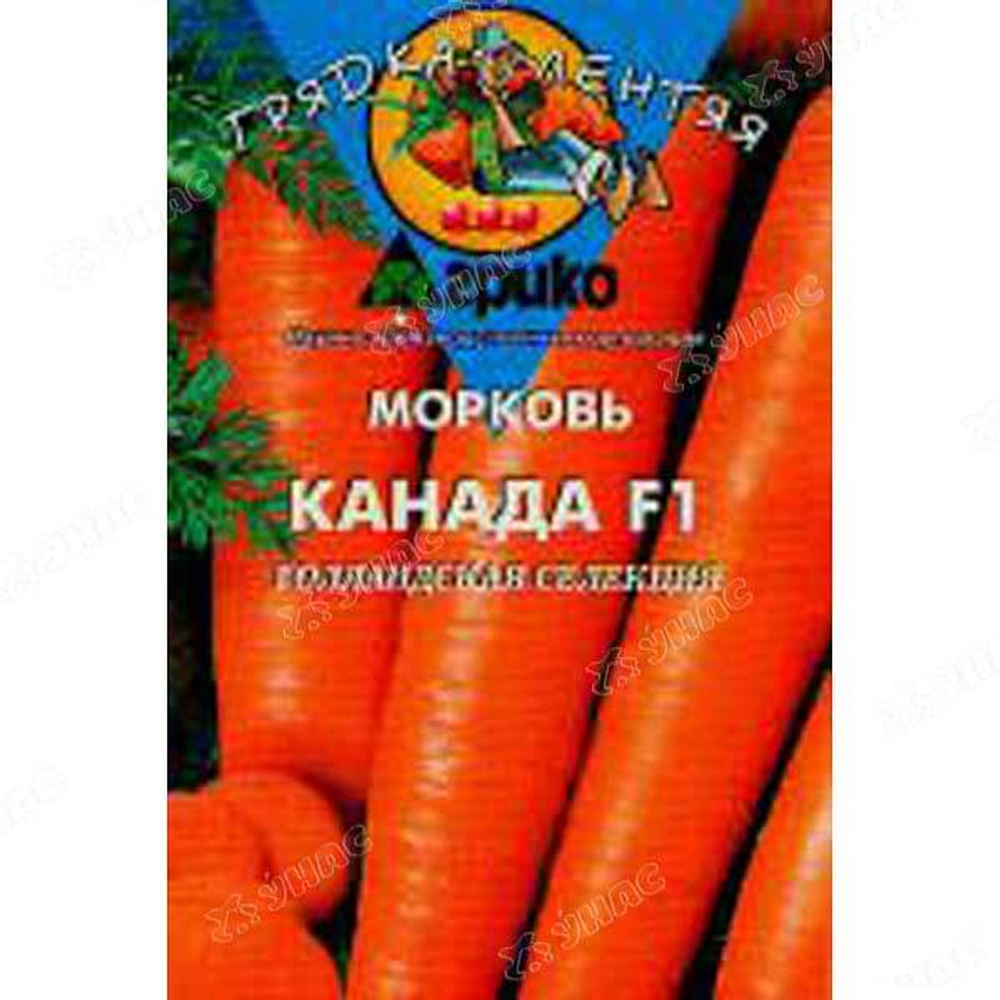 Морковь Канада (ДР)