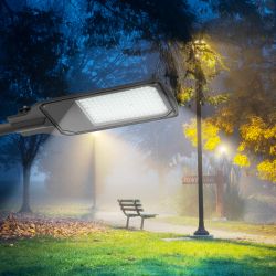 Светильник уличный светодиодный ЭРА SPP-504-0-50K-100 100Вт 5000К IP65 КСС Д