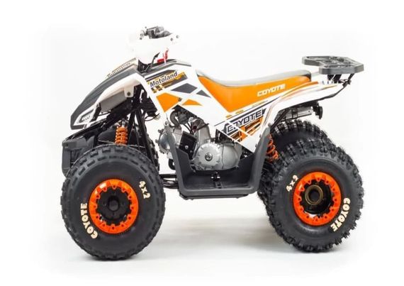Квадроцикл MOTOLAND 125 Coyote (2021 Г.)