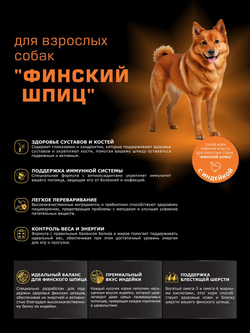Корм сухой для взрослых собак породы Финский шпиц, с индейкой, 12 кг, QUATTRO