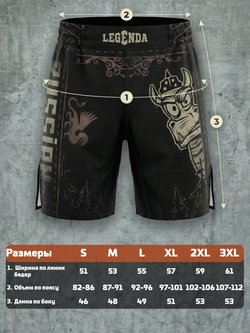 Шорты спортивные тренировочные LEGENDA Горыныч
