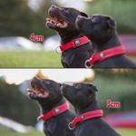 Ошейник Slip-On 3 см BullyBillows