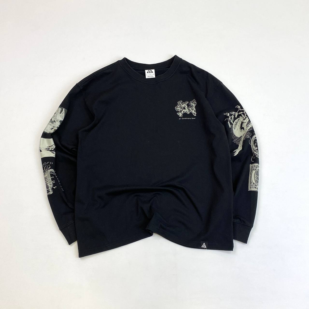 Лонгслив Nike ACG