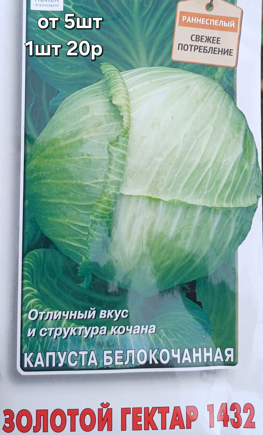 РАССАДА КАПУСТА РАННЯЯ ЗОЛОТОЙ ГЕКТАР