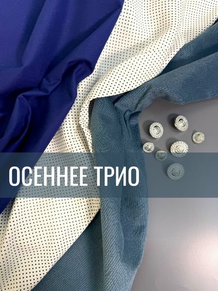 ТРИО ДЛЯ ОСЕННЕГО НАСТРОЕНИЯ