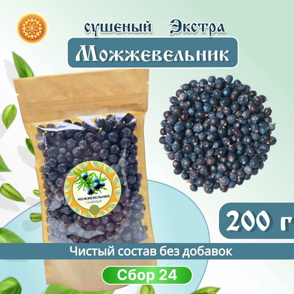 Можжевельник.
