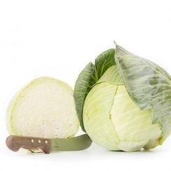 КОРСУМА F1 семена капусты белокочанной (Rijk Zwaan | Alexagro)