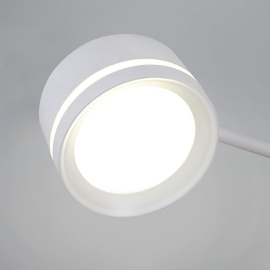 20590-0.3-3+1 White светильник потолочный