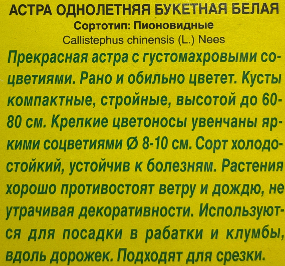 Астра Букетная белая СМЦ-435