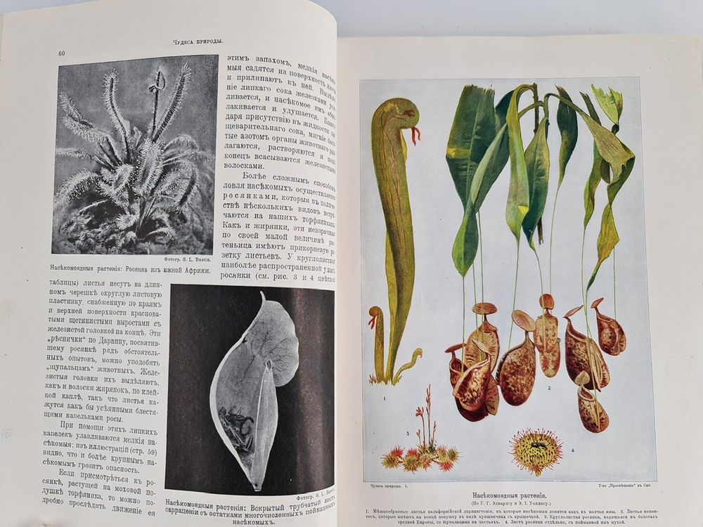 "Чудеса природы. Популярные очерки, посвященный описанию любопытнейших явлений и достопримечательностей трех царств природы. В 2-х томах". В.М.Шимкевич. 1915г. - антикварная книга