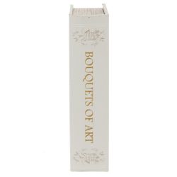 GAEM Шкатулка-книга с кодовым замком, L18 W7 H27 см