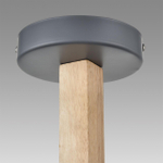 Потолочная люстра Lumion COLANGE 8096/6C