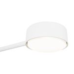 Потолочный светильник Freya FR5363CL-02W1