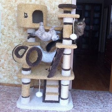 Комплекс для кошек К-162