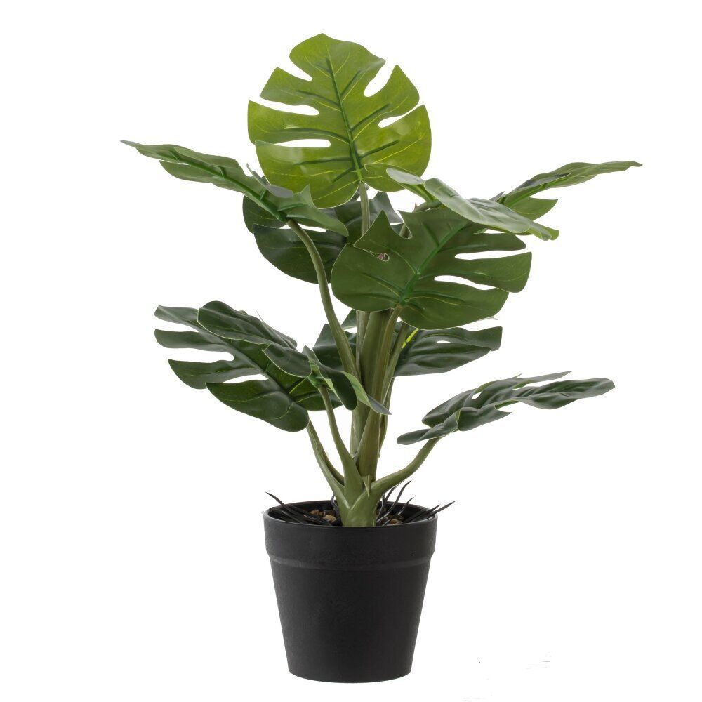 GAEM Цветочная композиция, L25 W25 H30 см, 5в.