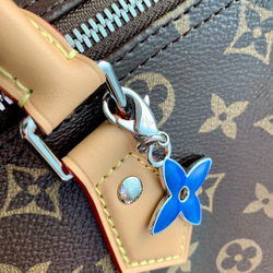 Louis Vuitton Speedy Soft 30 Crafty