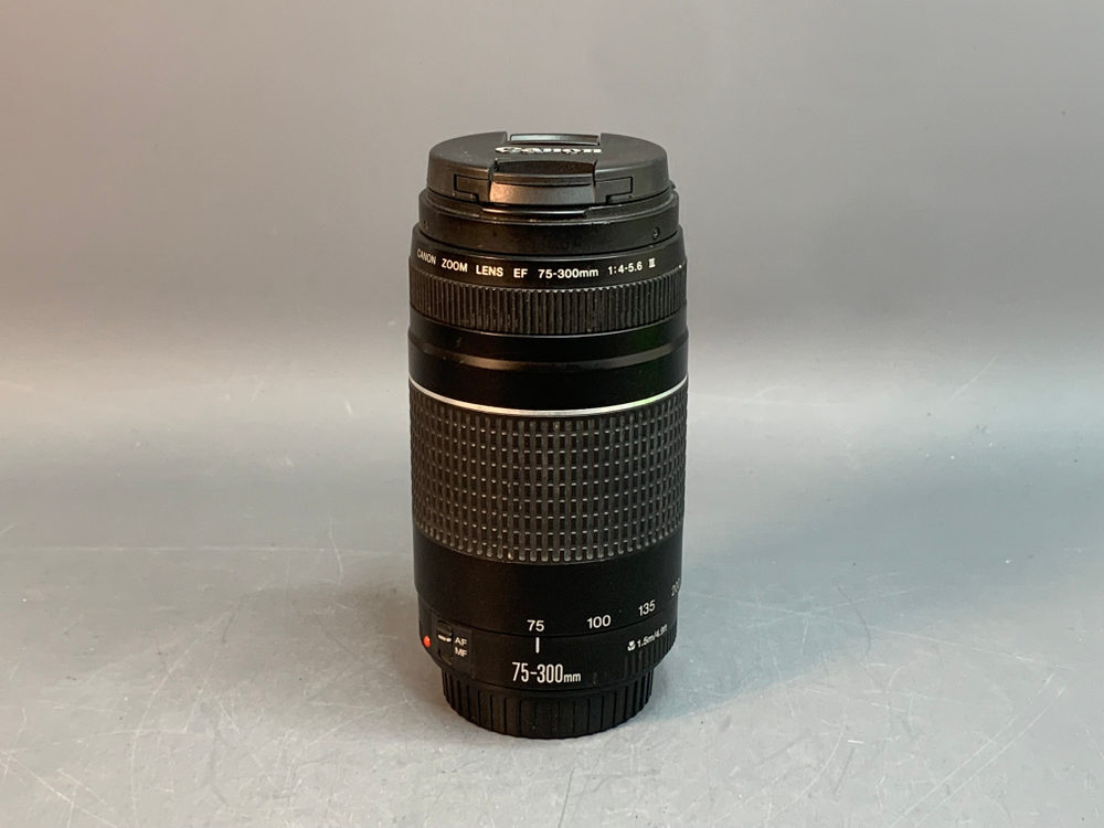 Canon EF 75-300mm 4-5.6 III