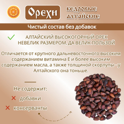 Орех кедровый Алтай.