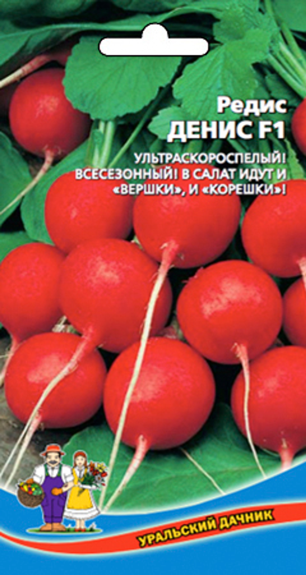 Редис Денис 2г Уральский Дачник