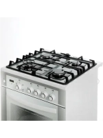 Плита газовая 6500-03 0042