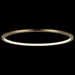 Подвесной светильник Loft it Ring 10014M